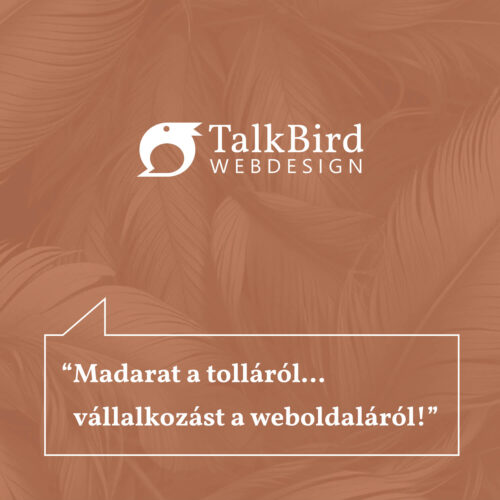 talkbird webdesign weboldal készítés